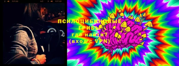 скорость Абаза